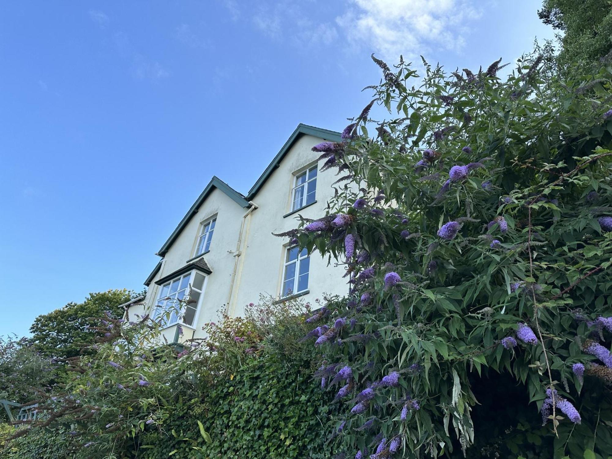 Bed and Breakfast North Walk House Lynton Zewnętrze zdjęcie